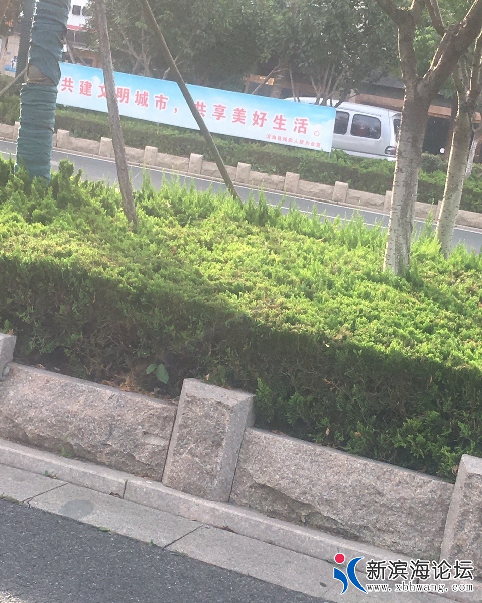 071955wrmywwd8tcrycrt8_看图王.jpg
