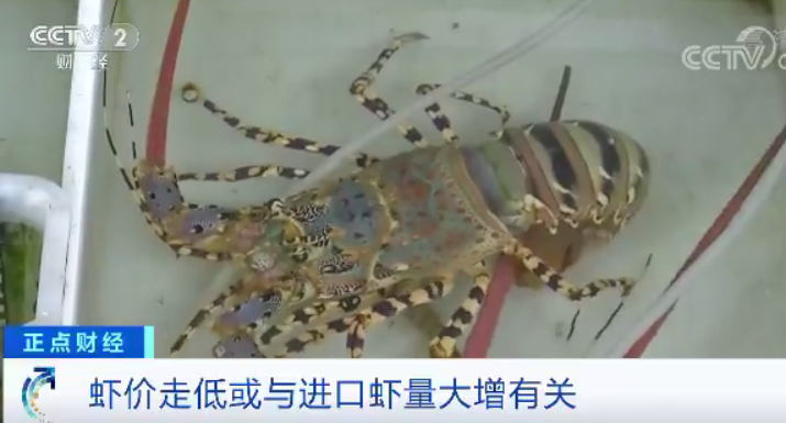 微信图片_20200804101122.png