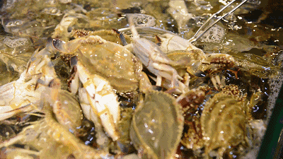 微信图片_20200805083041.gif