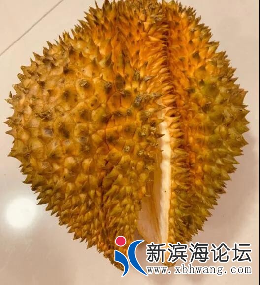 微信图片_20200805141312.jpg