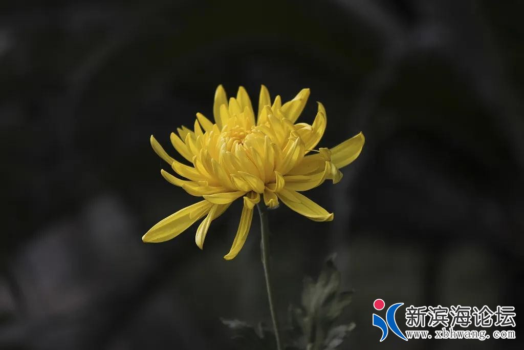 微信图片_20200805144838.jpg