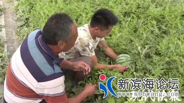微信图片_20200806101323.jpg