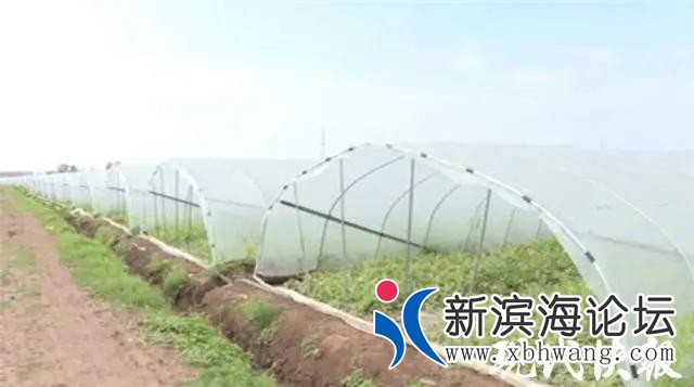 微信图片_20200806101326.jpg