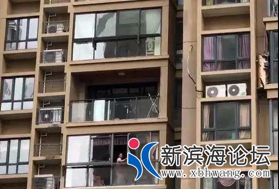 微信图片_20200806144549.jpg