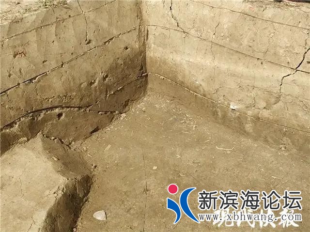 微信图片_20200807100653.jpg