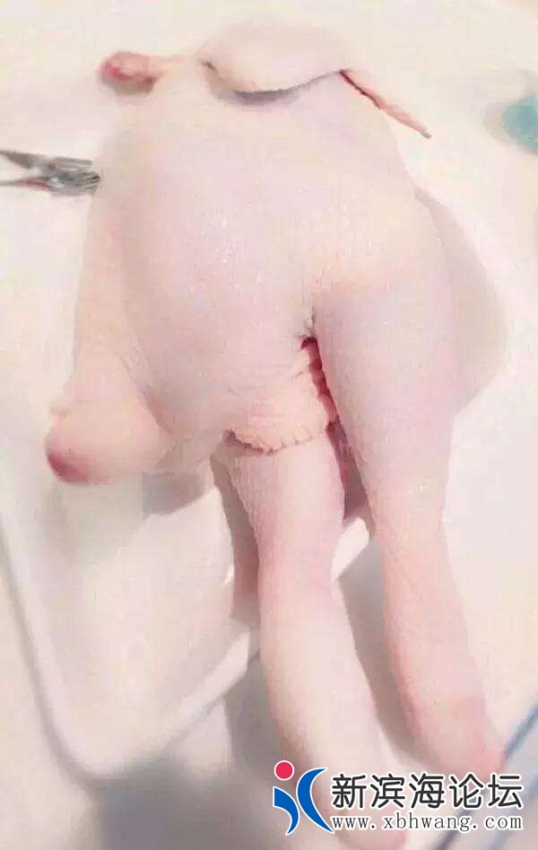 front2_0_FoHsax-5ahLGKivAwGzGX5lMniwD.jpg