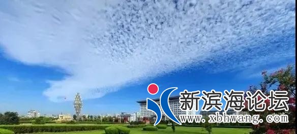 微信图片_20200808092802.jpg