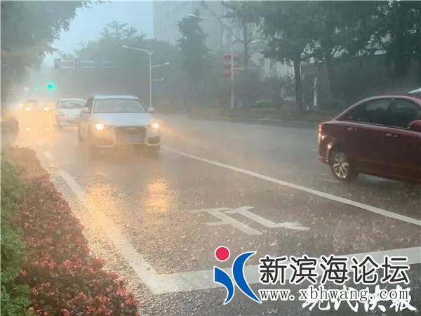 微信图片_20200808141654.jpg