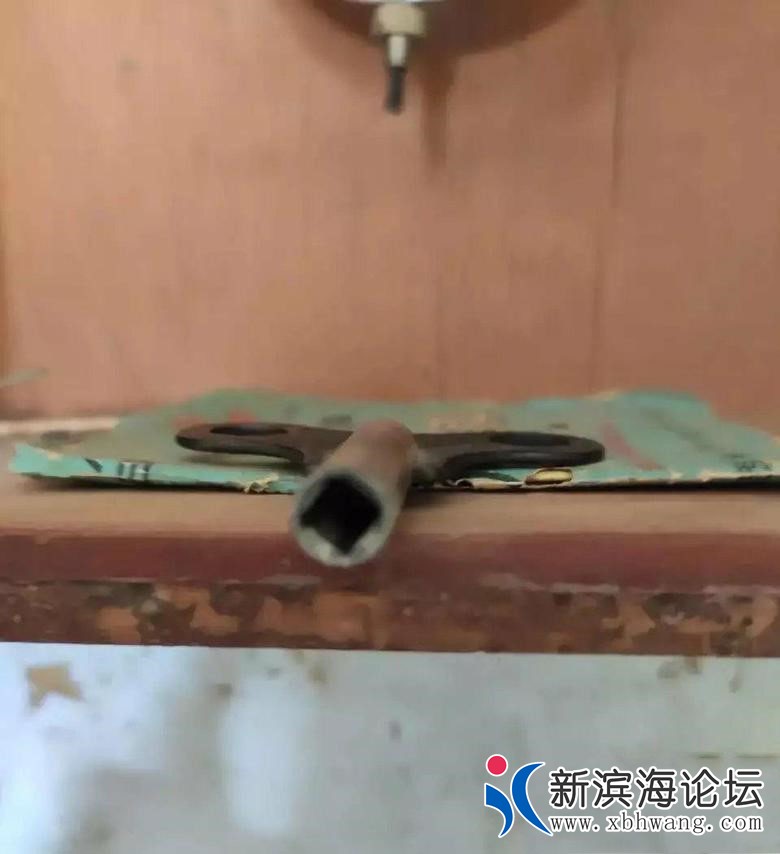 150048ygxgl8q3yx93383b.jpg