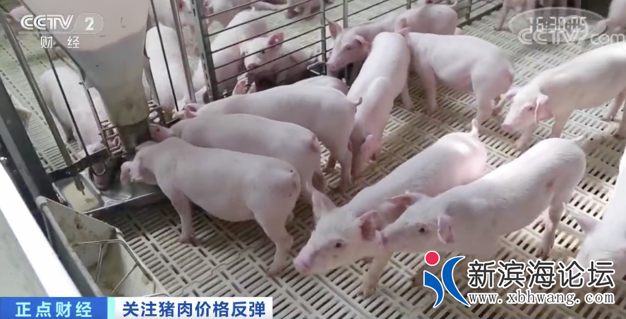 微信图片_20200809095636.png