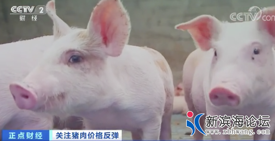微信图片_20200809095639.png