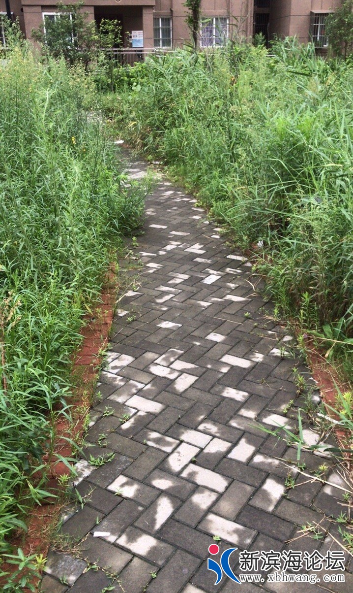 094620dcch55cb4dg70qbf_看图王.jpg