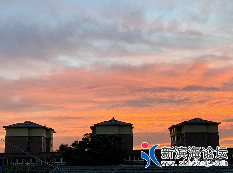 微信图片_20200816100652.png