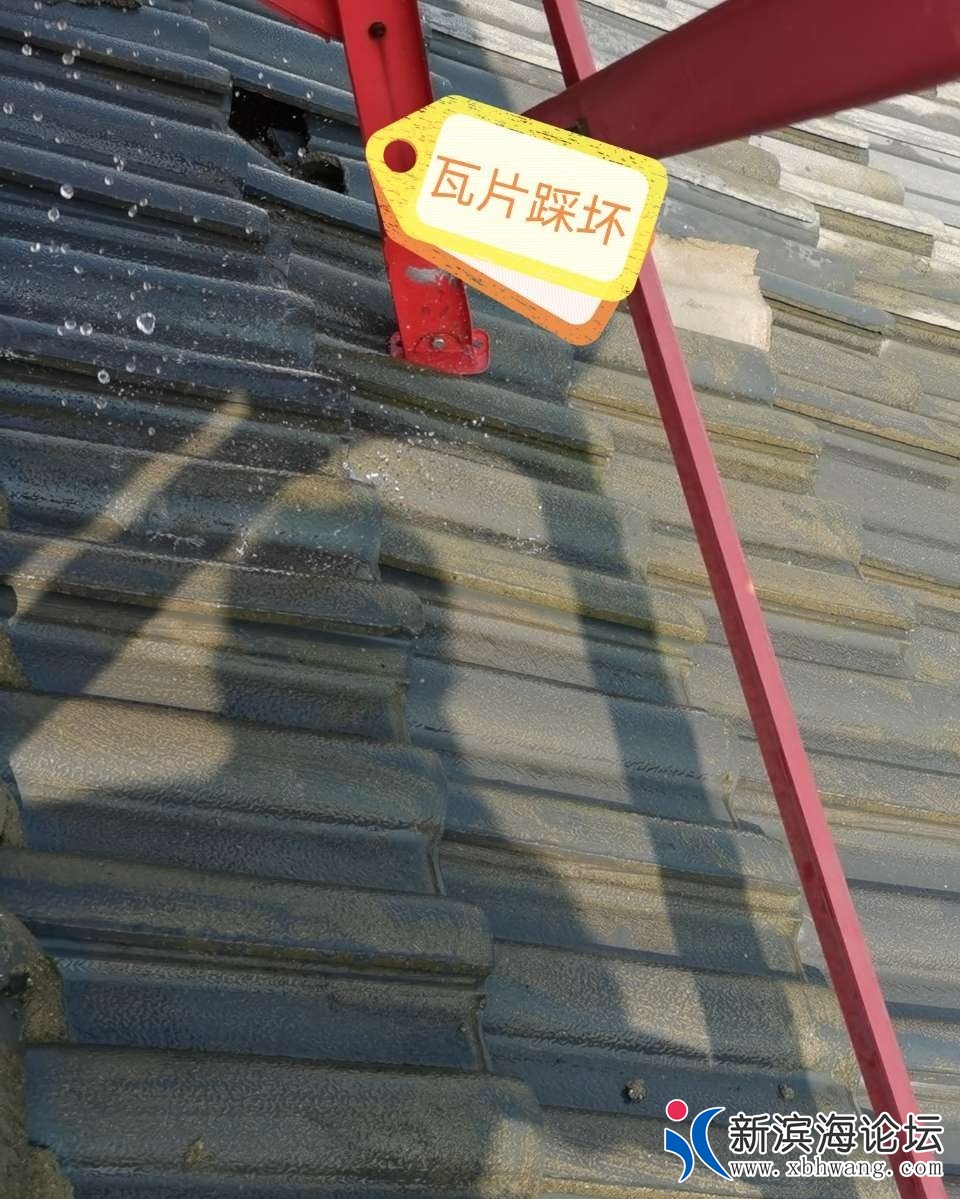 092144jcanrlbtccpthpcm_看图王.jpg