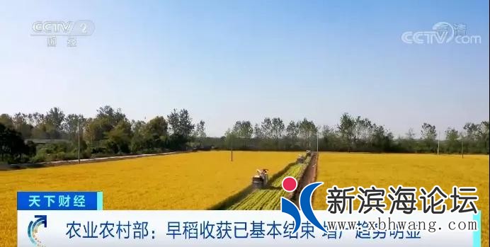 微信图片_20200817151146.jpg