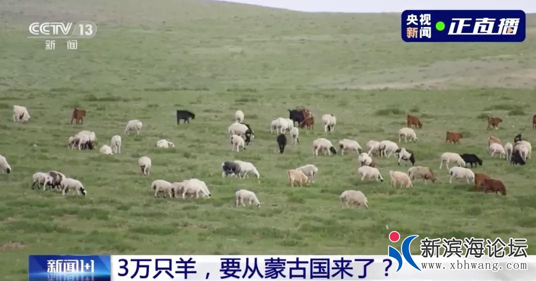 微信图片_20200818104124.jpg