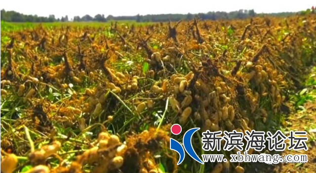 微信图片_20200819084146.png