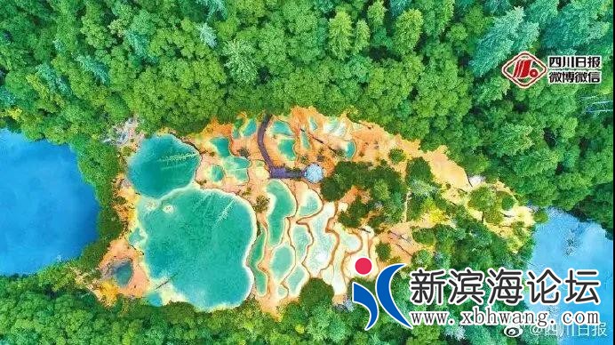 微信图片_20200819155628.jpg
