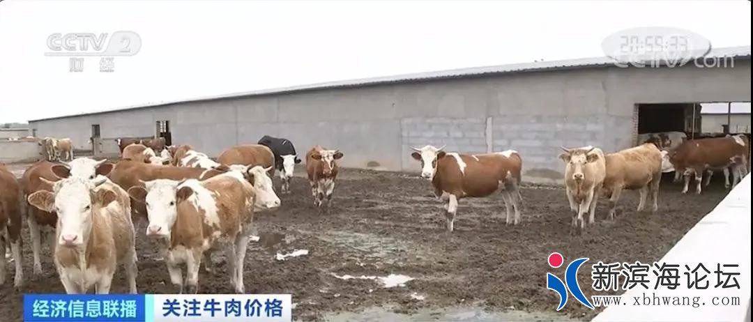 微信图片_20200820110041.jpg