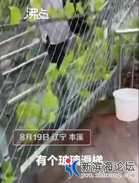 微信图片_20200820155209.jpg
