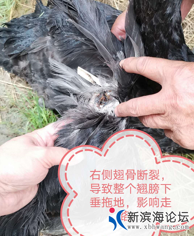 微信图片_20200821093739.png