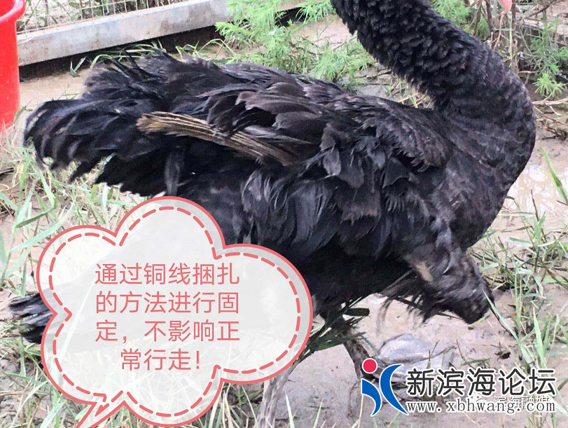 微信图片_20200821093741.png