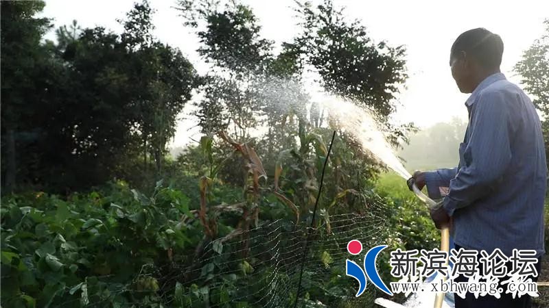 微信图片_20200821165327.jpg