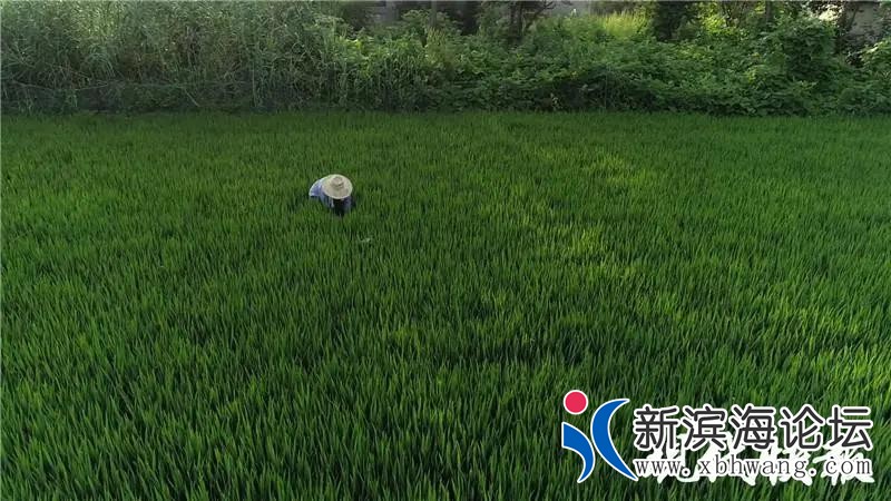 微信图片_20200821165335.jpg