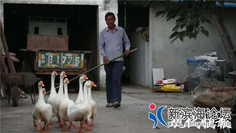 微信图片_20200821165341.jpg