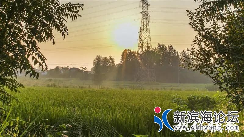 微信图片_20200821165345.jpg