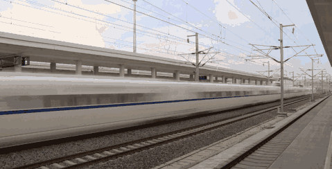 微信图片_20200822113933.gif
