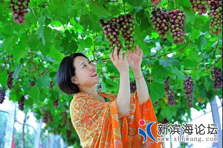 微信图片_20200824101155.jpg