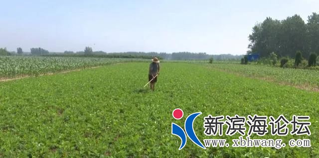 微信图片_20200825092935.jpg