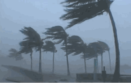 微信图片_20200826143519.gif