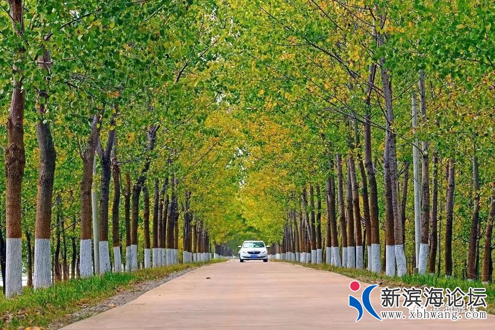 微信图片_20200830095847.jpg