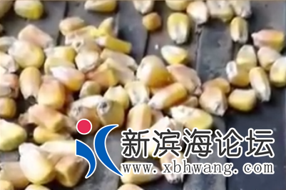 微信图片_20200831143055.png
