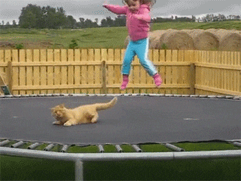 20200831_96622_1598867450223.gif