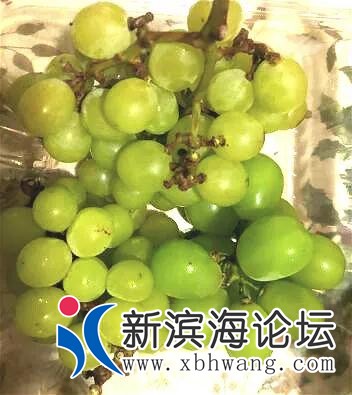 微信图片_20200905091032.jpg