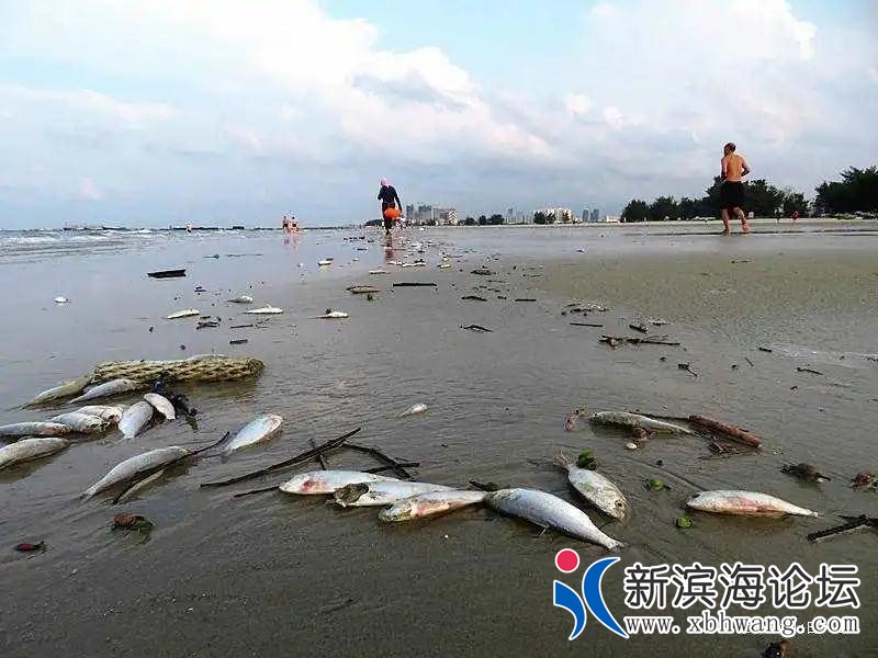 微信图片_20200906161110.jpg