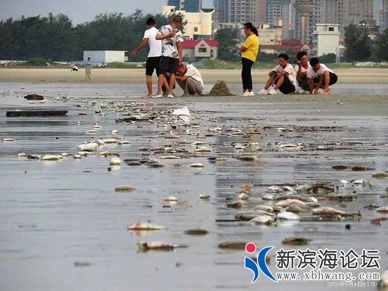微信图片_20200906161115.jpg