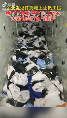 微信图片_20200907142210.gif