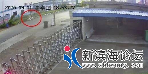105015jtvj6vxgars60a6t.jpg.thumb.jpg