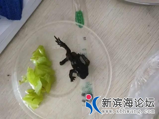 微信图片_20200910094527.jpg