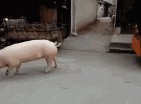 20200911_96622_1599803699088.gif