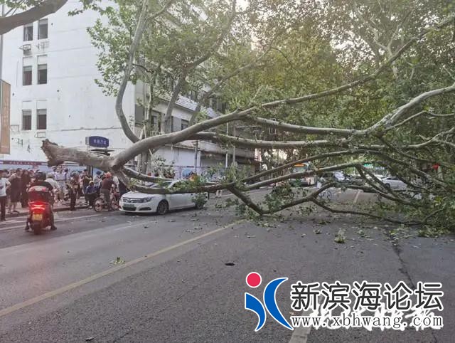 微信图片_20200914091826.jpg