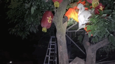 微信图片_20200915142637.gif