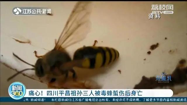 微信图片_20200915142640.jpg