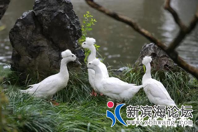 微信图片_20200918092118.jpg