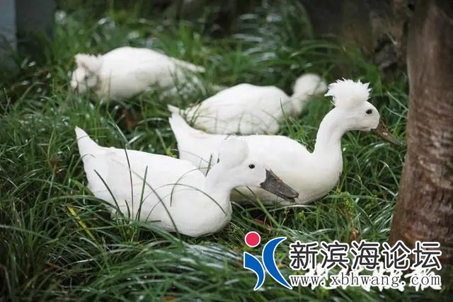 微信图片_20200918092121.jpg