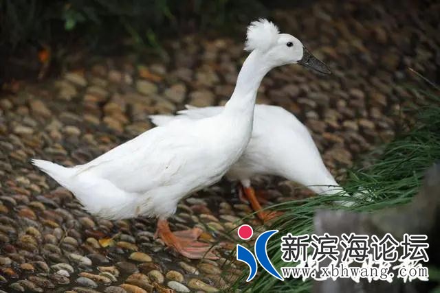 微信图片_20200918092124.jpg
